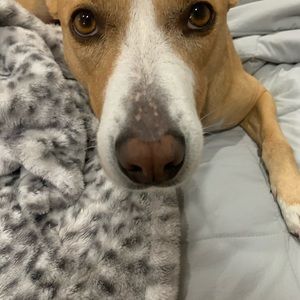 Meet your Posher, Kathy